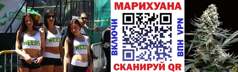 Конопля гибрид Слюдянка